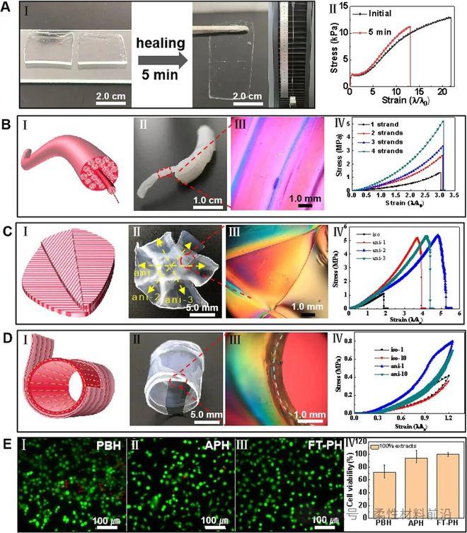 动态硼酸酯键辅助聚乙烯醇水凝胶时空可控交联_聚乙烯醇价格_仿生各向异性PVA水凝胶制备方法