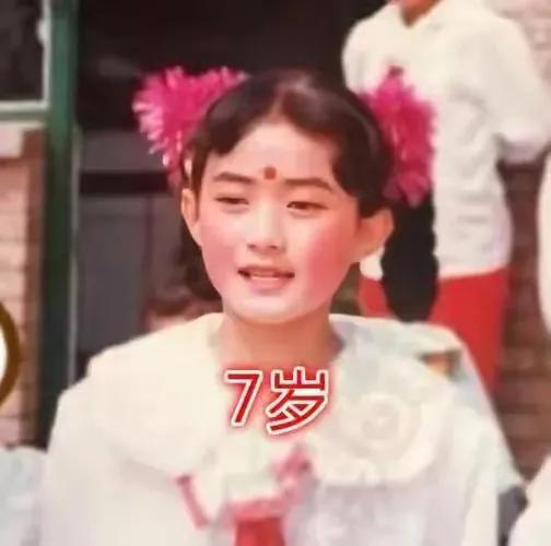 赵丽颖早年经历_赵丽颖家庭资料_赵丽颖中专毕业经历