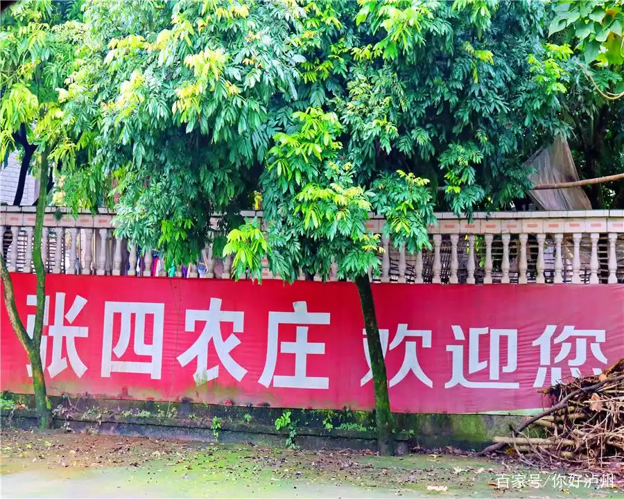 泸州农家乐推荐_杨桥湖农家乐_泸州农家乐生态旅游