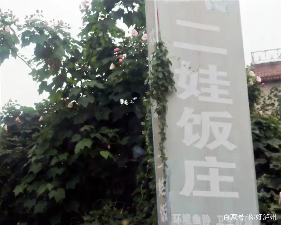 泸州农家乐生态旅游_泸州农家乐推荐_杨桥湖农家乐