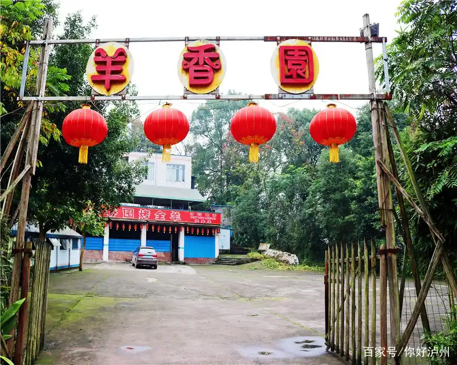 泸州农家乐生态旅游_杨桥湖农家乐_泸州农家乐推荐