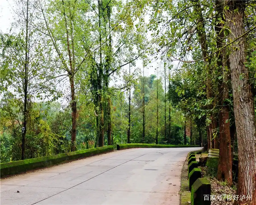 杨桥湖农家乐_泸州农家乐生态旅游_泸州农家乐推荐