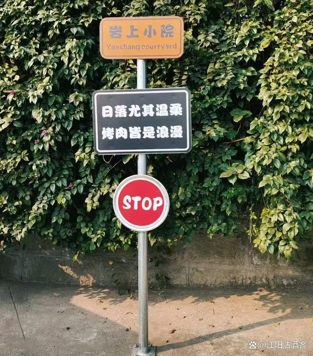泸州农家乐生态旅游_新式农家乐_川南乡村旅游爆款