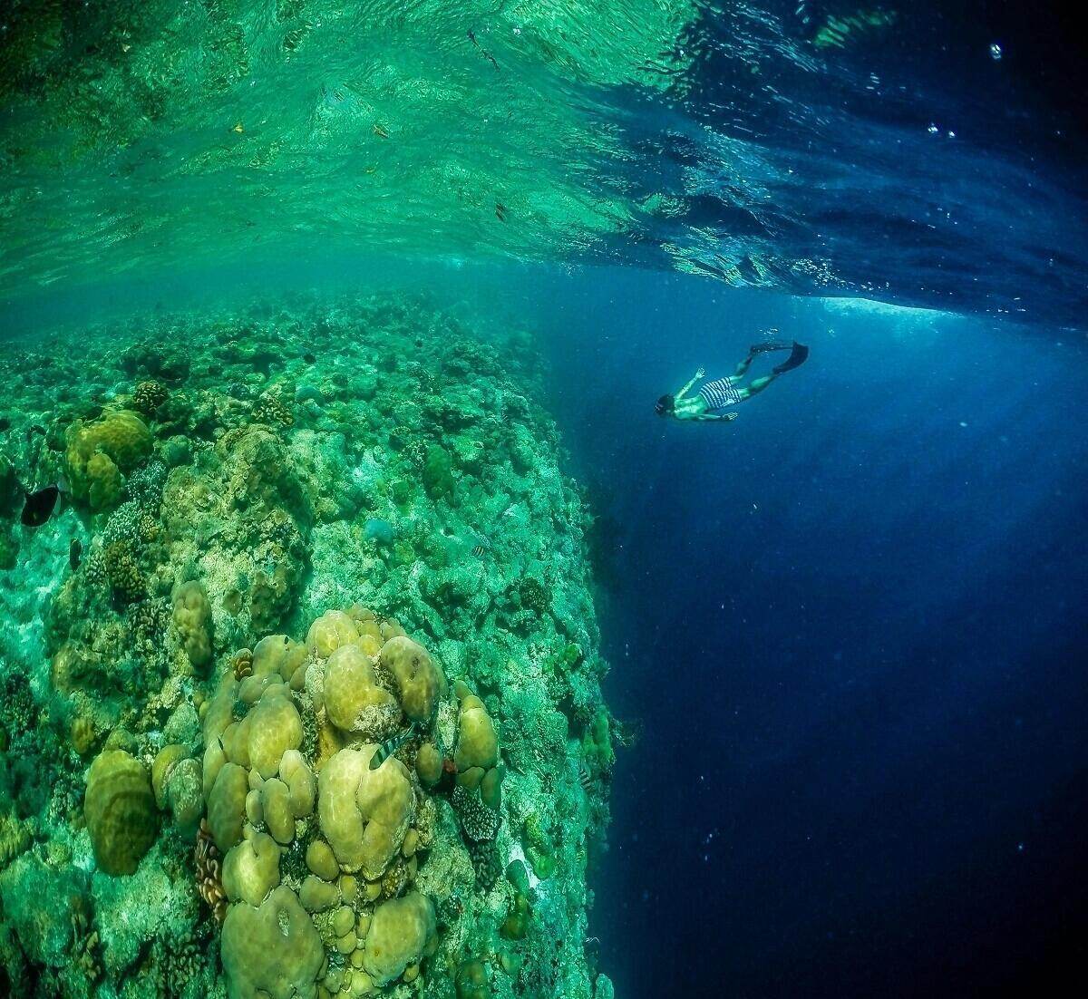 探索未知深海奥秘_全球污染地图_深海生命新物种发现