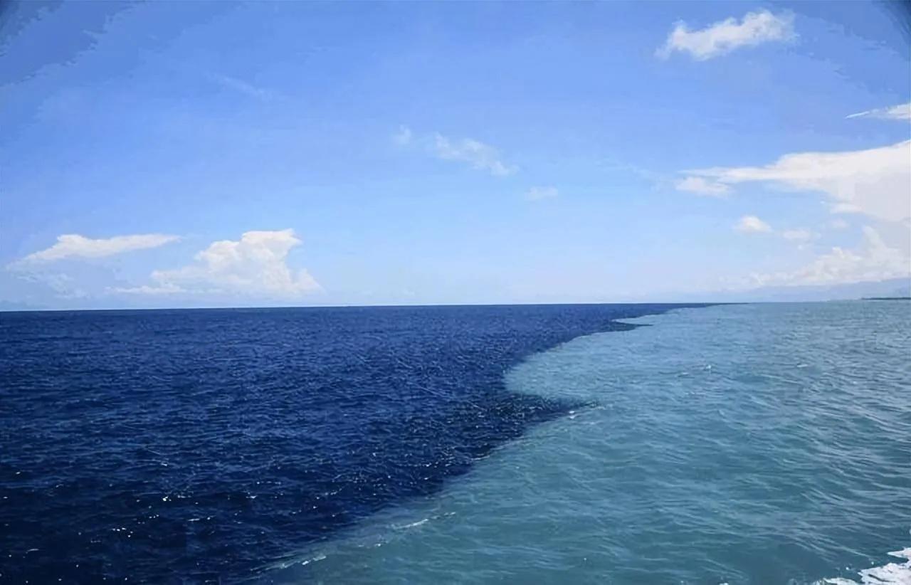 深海生命新物种发现_全球污染地图_探索未知深海奥秘