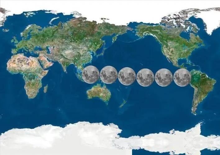 深海生命新物种发现_探索未知深海奥秘_全球污染地图