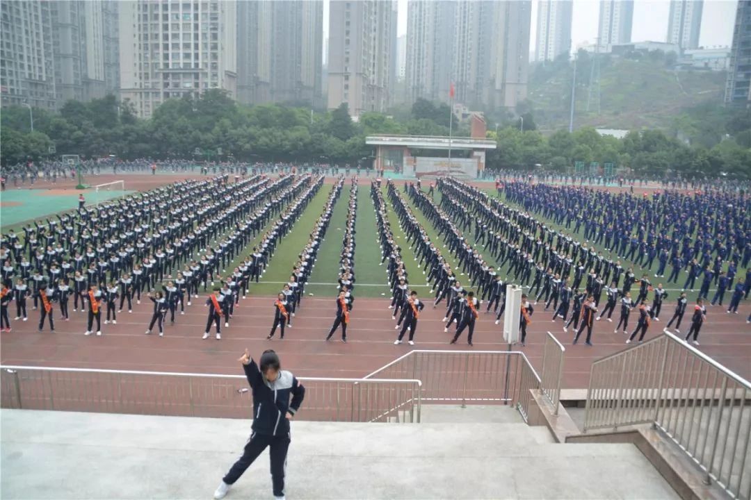 重庆徐悲鸿中学网站_江北区初中入学政策_重庆徐悲鸿中学招生
