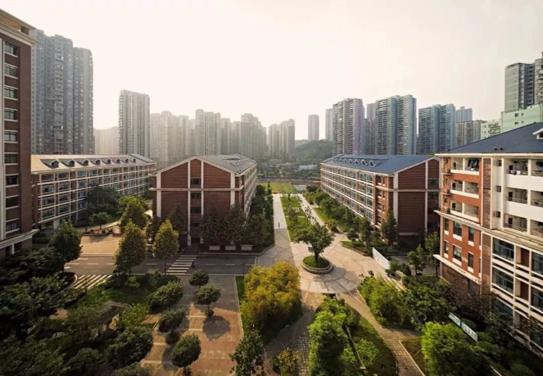 江北区初中入学政策_重庆徐悲鸿中学招生_重庆徐悲鸿中学网站