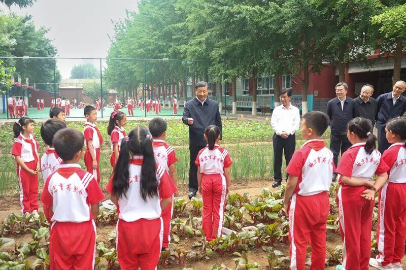 优秀少先队员事迹200字_传承红色基因 少先队活动_习近平总书记给少先队红领巾讲解员回信