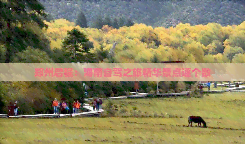 郑州启程：海南自驾之旅精华景点逐个数