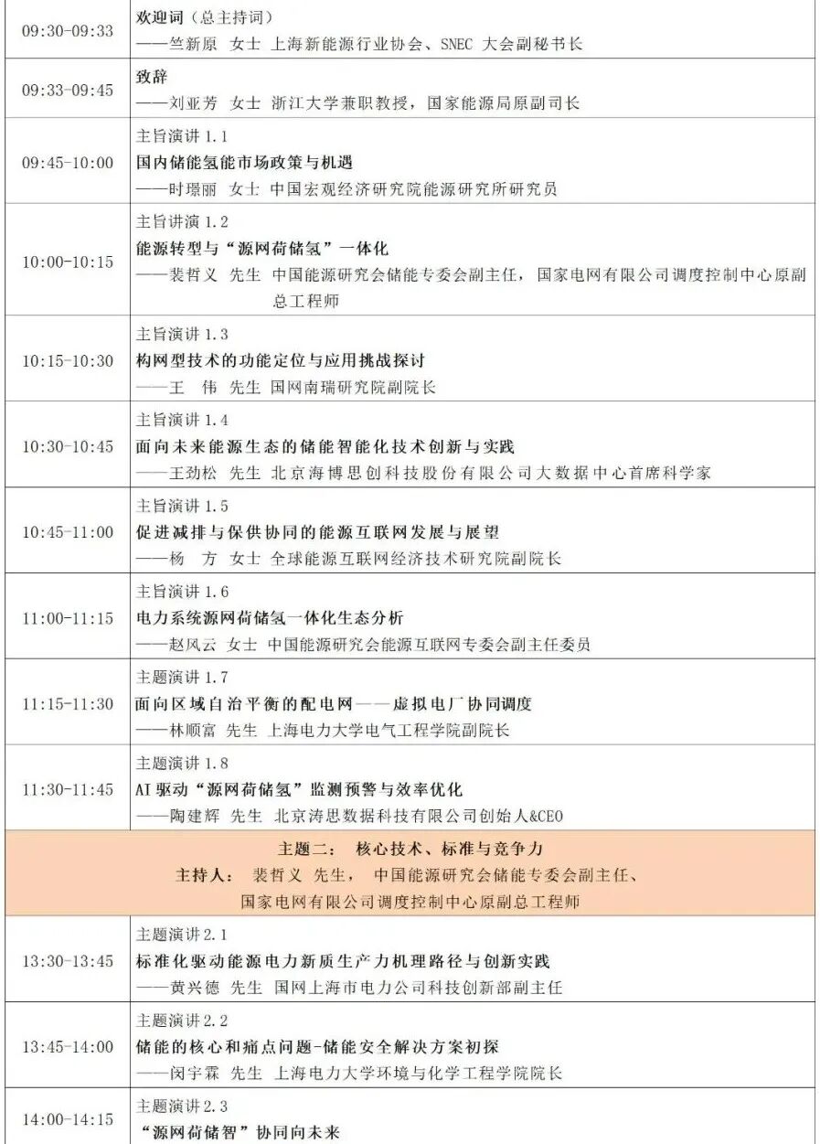 2025SNECES+国际储能和电池大会_新能源年会_国能网第十届新能源产业年会