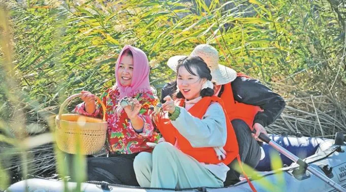 新疆奇台县农民舞出丰收的喜悦图片_兵团农业机械化作业_新疆兵团丰收景象