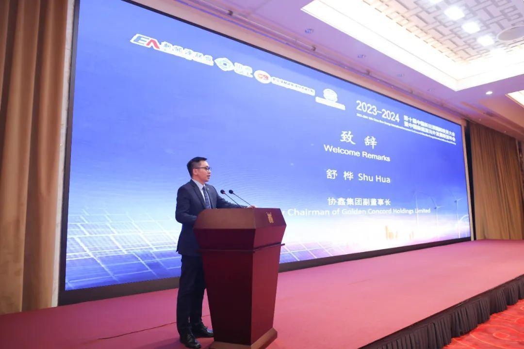 新能源年会_中国新能源海外发展联盟 国际合作 专题讨论