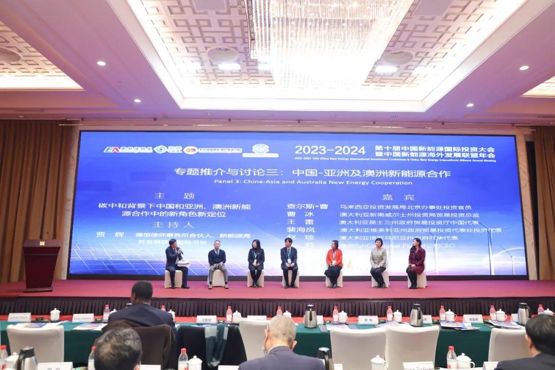 新能源年会_中国新能源海外发展联盟 国际合作 专题讨论