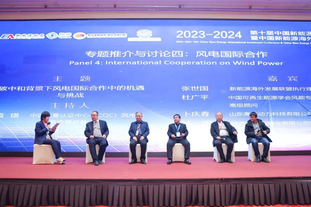 中国新能源海外发展联盟 国际合作 专题讨论_新能源年会