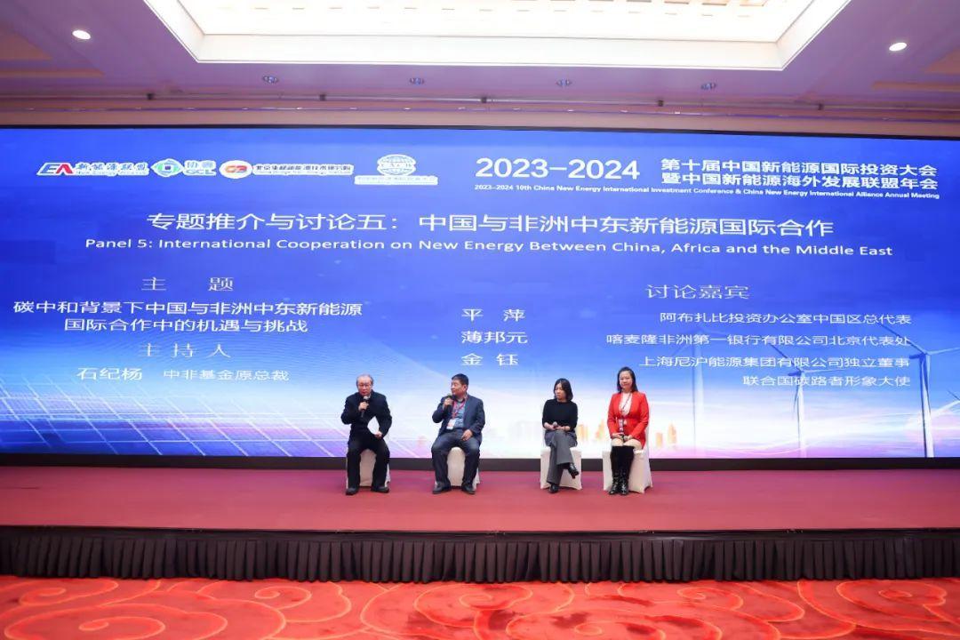 中国新能源海外发展联盟 国际合作 专题讨论_新能源年会