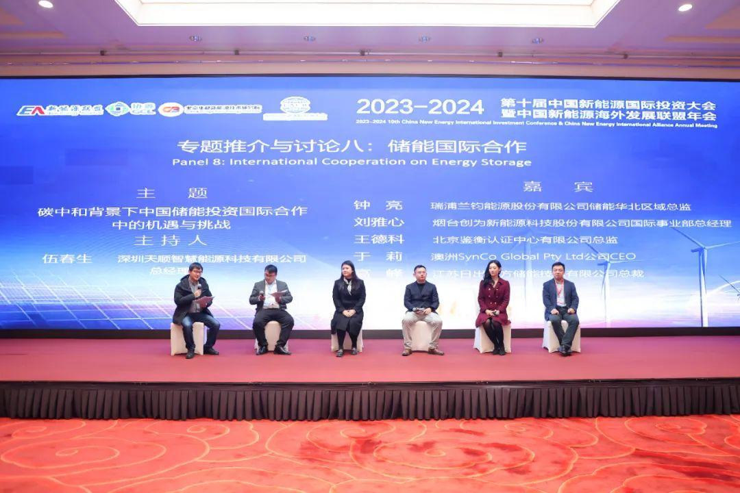 中国新能源海外发展联盟 国际合作 专题讨论_新能源年会
