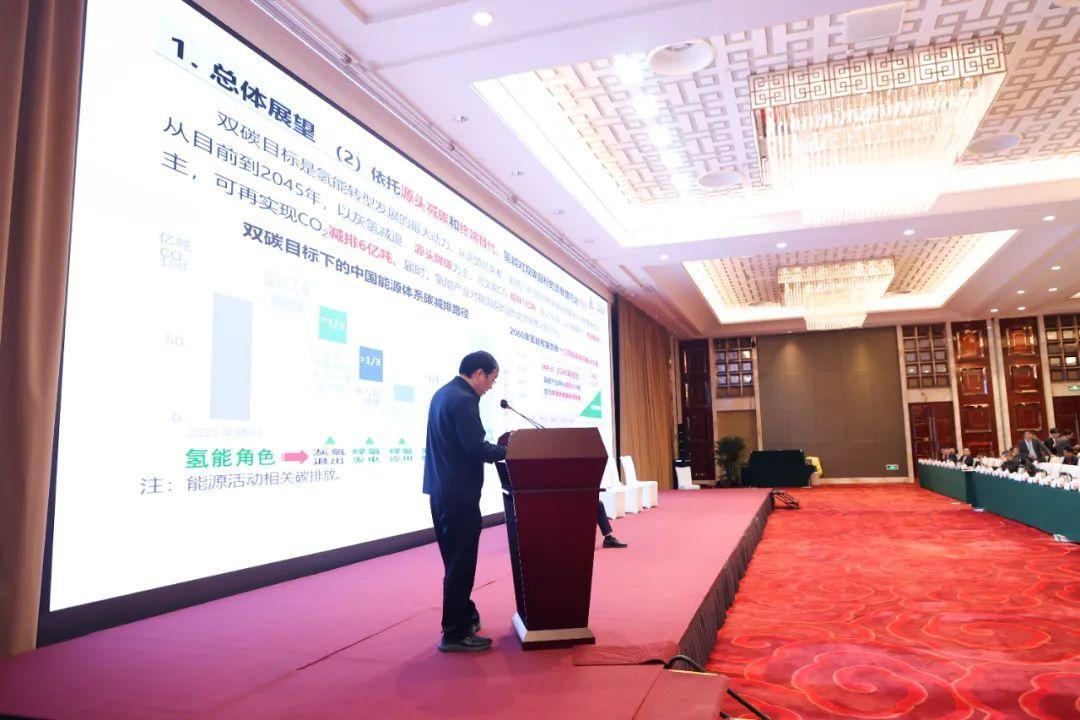新能源年会_中国新能源海外发展联盟 国际合作 专题讨论