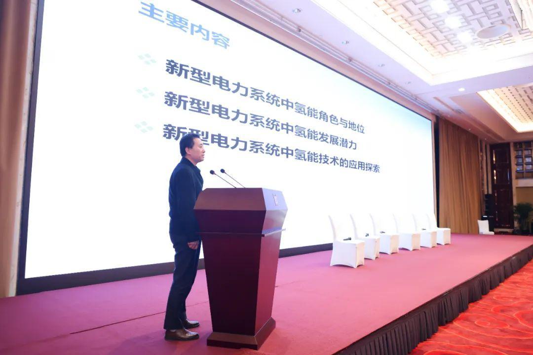 中国新能源海外发展联盟 国际合作 专题讨论_新能源年会