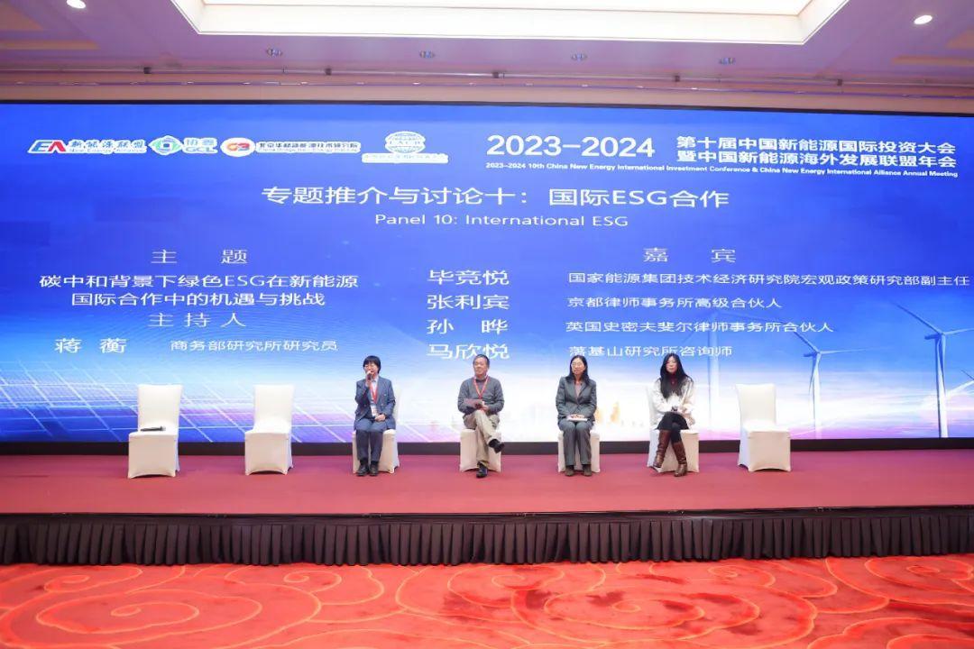 新能源年会_中国新能源海外发展联盟 国际合作 专题讨论