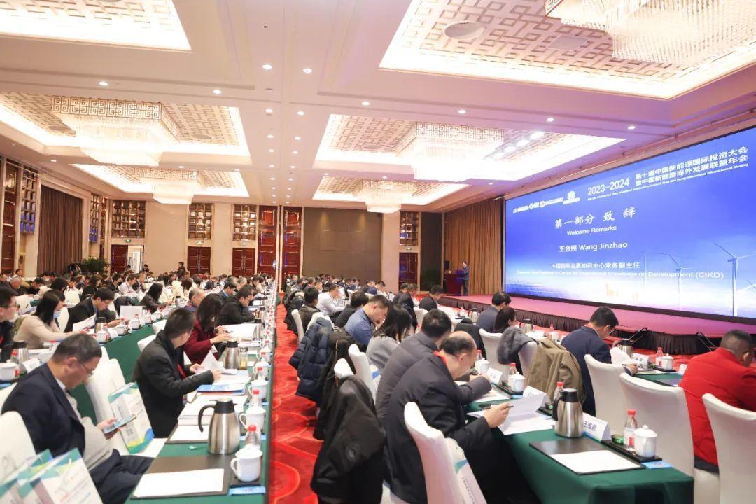 新能源年会_中国新能源海外发展联盟 国际合作 专题讨论