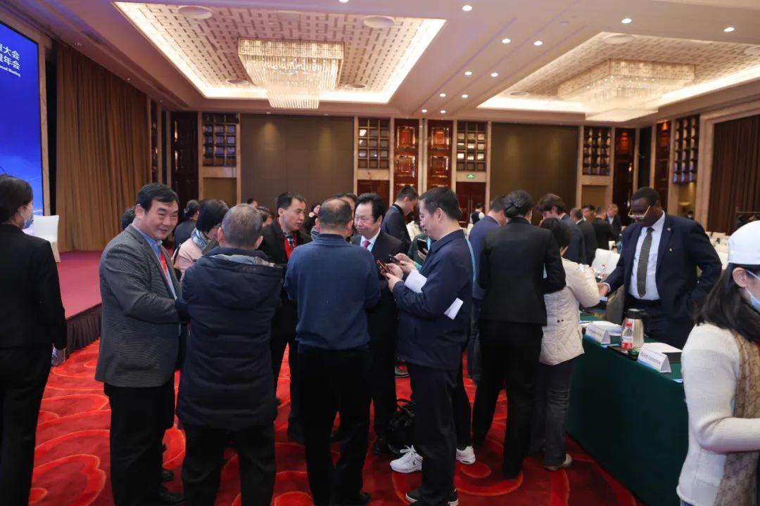 中国新能源海外发展联盟 国际合作 专题讨论_新能源年会