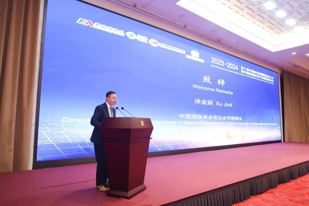 新能源年会_中国新能源海外发展联盟 国际合作 专题讨论