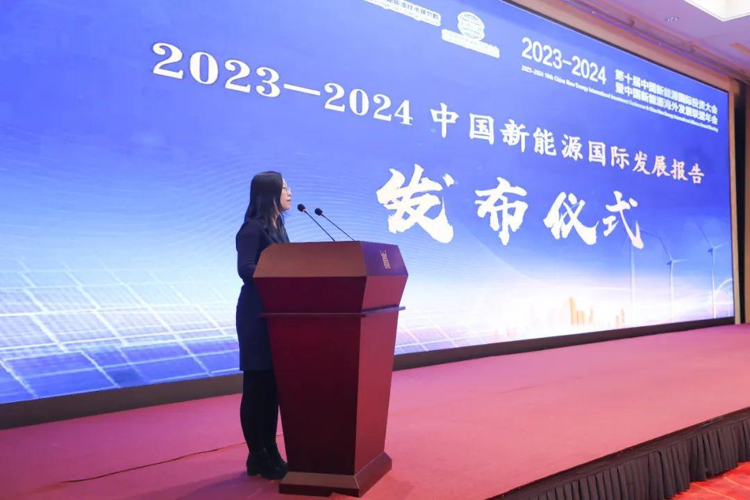 中国新能源海外发展联盟 国际合作 专题讨论_新能源年会