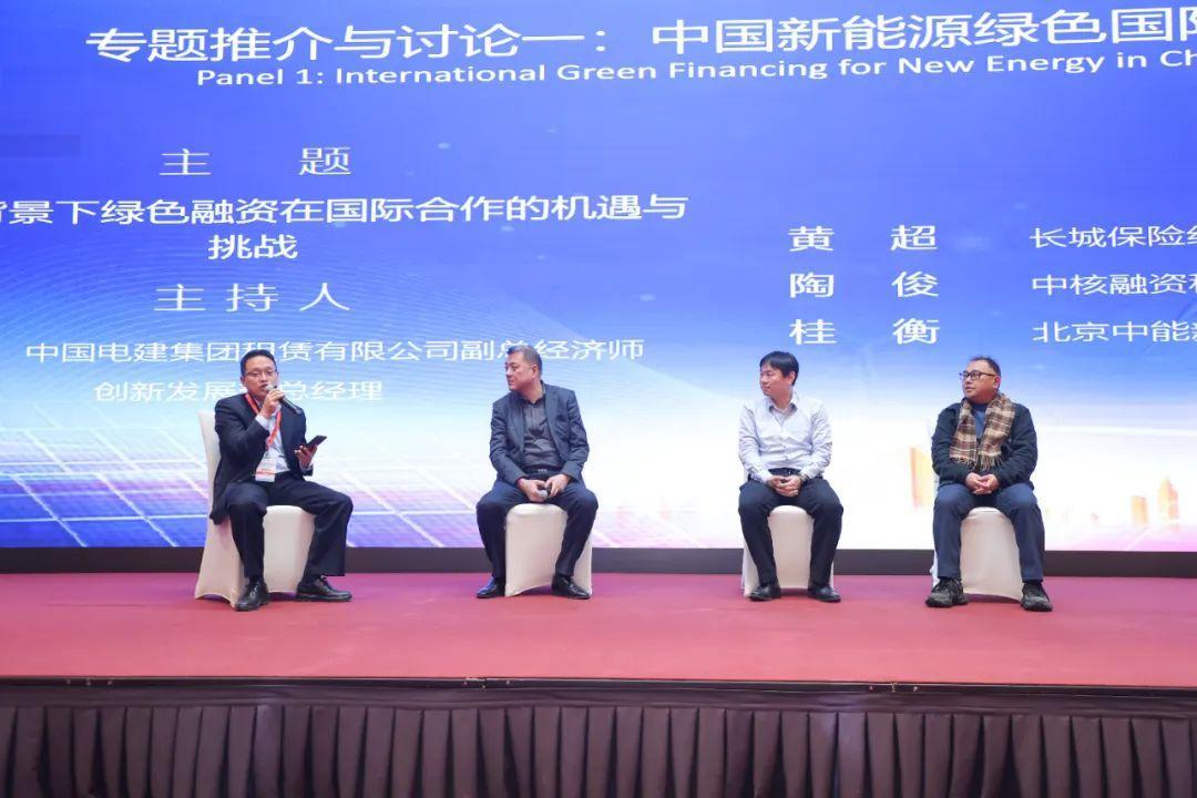 新能源年会_中国新能源海外发展联盟 国际合作 专题讨论