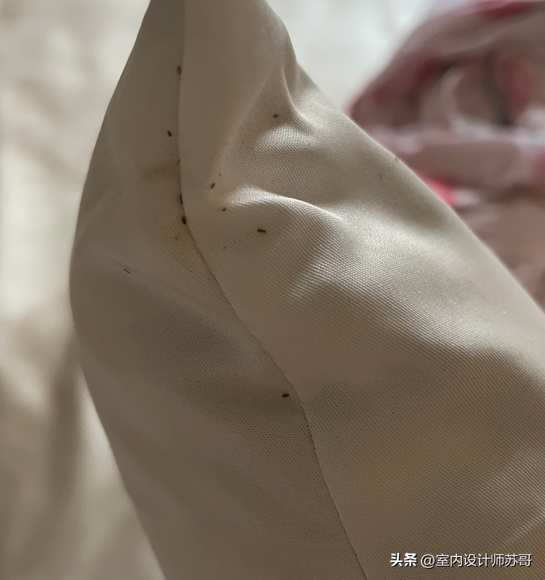 劣质荞麦枕头_喝过的茶叶枕头的危害_劣质乳胶枕头