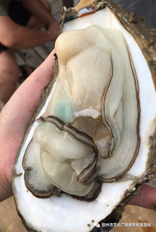 防城港 金滩 银滩 天堂滩 比较_北部湾开海节 防城港海鲜市场 白浪滩旅游攻略