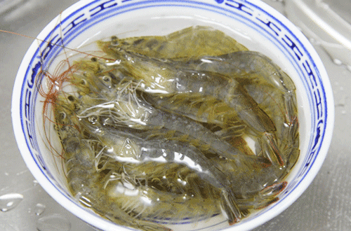 北部湾开海节 防城港海鲜市场 白浪滩旅游攻略_防城港 金滩 银滩 天堂滩 比较
