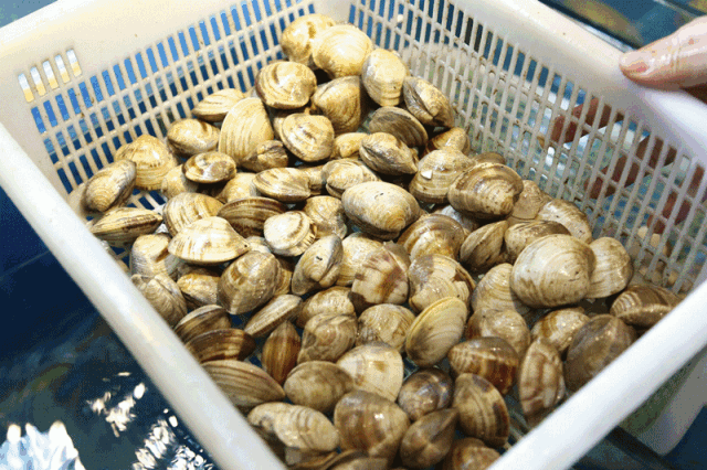 防城港 金滩 银滩 天堂滩 比较_北部湾开海节 防城港海鲜市场 白浪滩旅游攻略