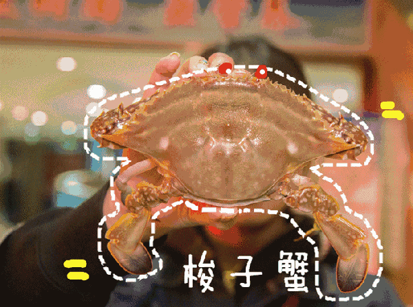 北部湾开海节 防城港海鲜市场 白浪滩旅游攻略_防城港 金滩 银滩 天堂滩 比较