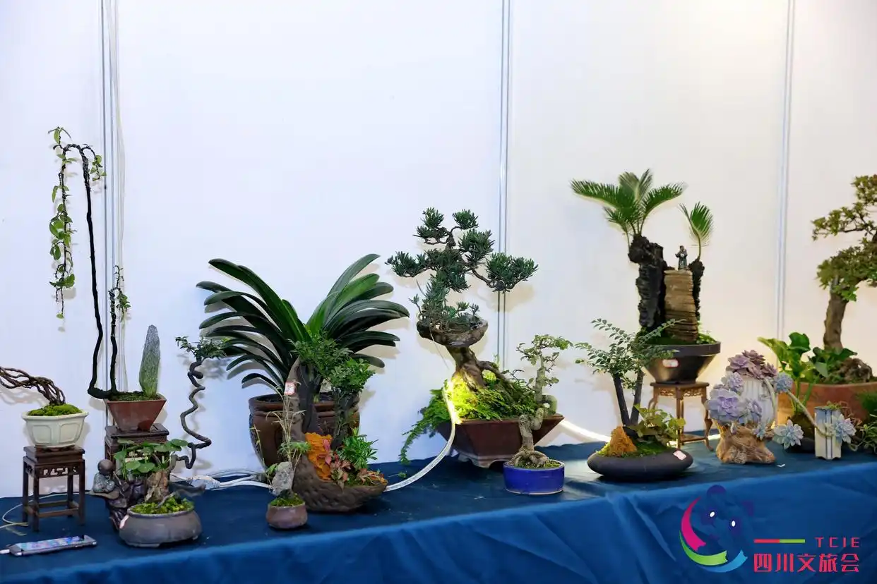 创意农业乡村旅游高峰论坛_四川创意农业乡村旅游振兴联盟_中国乡村旅游发展论坛