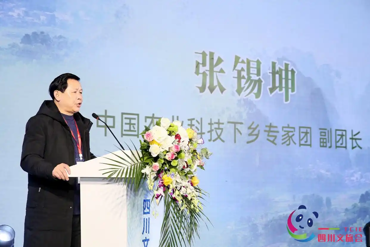 中国乡村旅游发展论坛_四川创意农业乡村旅游振兴联盟_创意农业乡村旅游高峰论坛