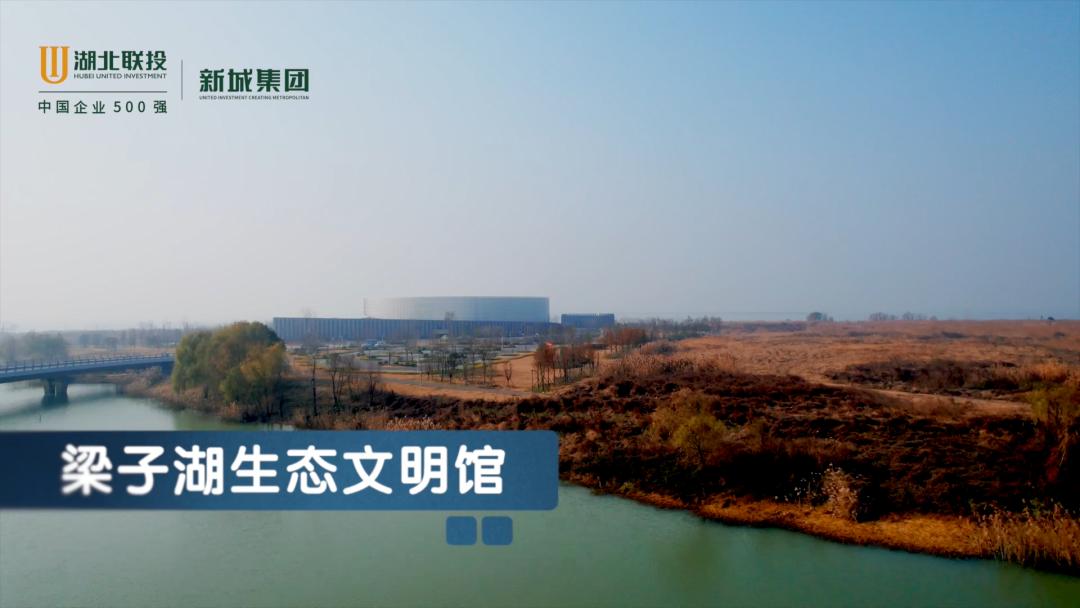 花山生态新城2026发展_花山生态新城_光谷人民医院