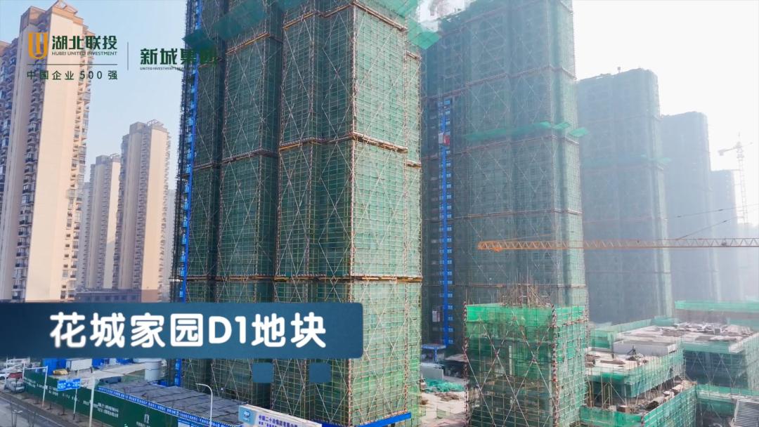 花山生态新城2026发展_光谷人民医院_花山生态新城