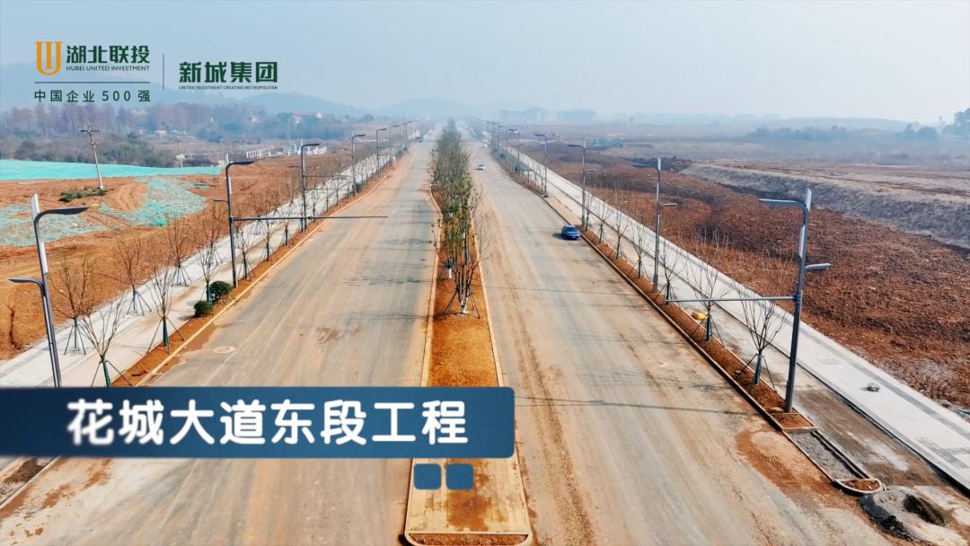 花山生态新城2026发展_花山生态新城_光谷人民医院