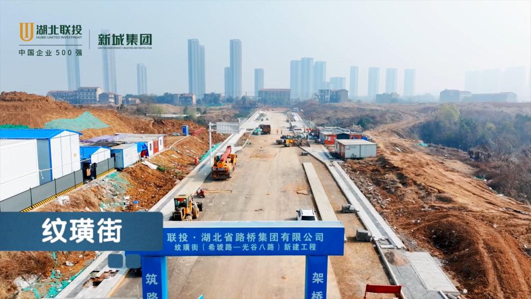 花山生态新城2026发展_花山生态新城_光谷人民医院