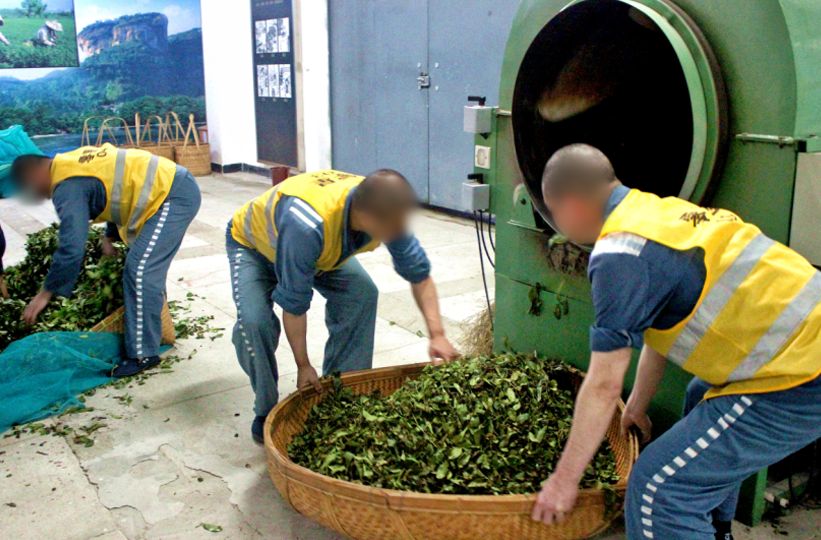 茶道精神心理矫正_福建茶文化罪犯改造_监狱文化与矫正工作研究