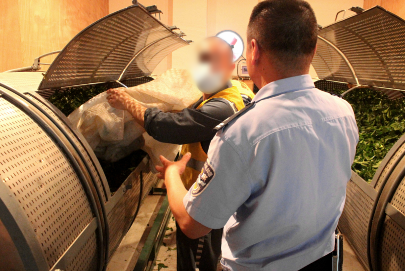 福建茶文化罪犯改造_监狱文化与矫正工作研究_茶道精神心理矫正