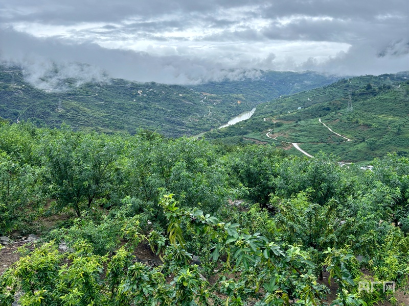 关岭断桥青椒鱼火锅_贵州安顺有什么好吃的_安顺美食攻略