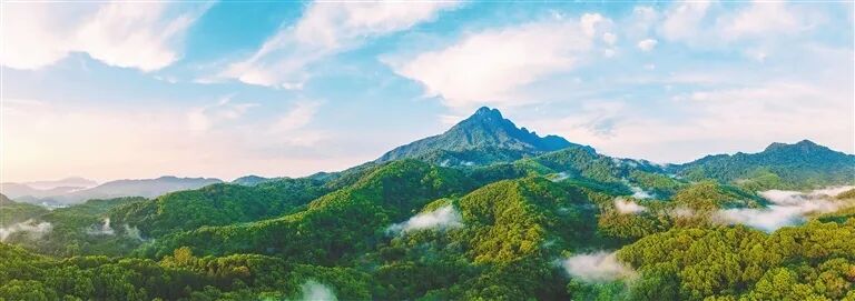 海南热带雨林景区_海南四月登山_定安文笔峰旅游攻略