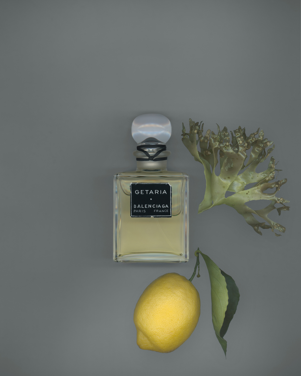 爱马仕童真色彩橱窗艺术_2025冬日节庆精品时尚品牌_香奈儿艺术总监