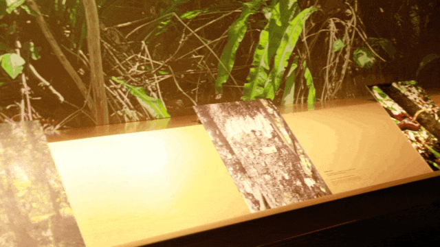 香奈儿蔚蓝珍藏香水空间_香奈儿艺术总监_魔都香氛体验