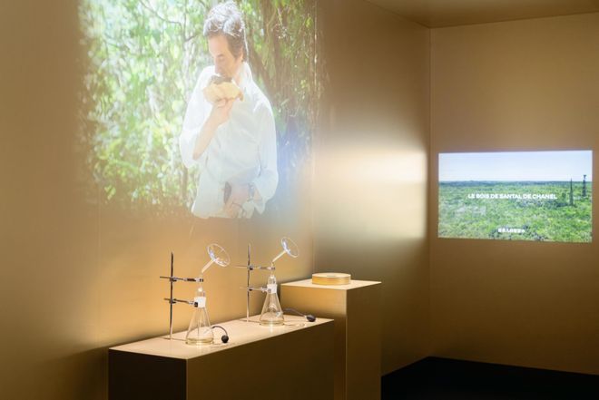 香奈儿蔚蓝珍藏香水空间_魔都香氛体验_香奈儿艺术总监