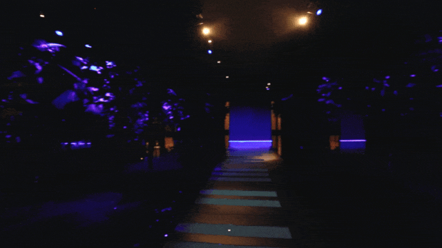 魔都香氛体验_香奈儿蔚蓝珍藏香水空间_香奈儿艺术总监