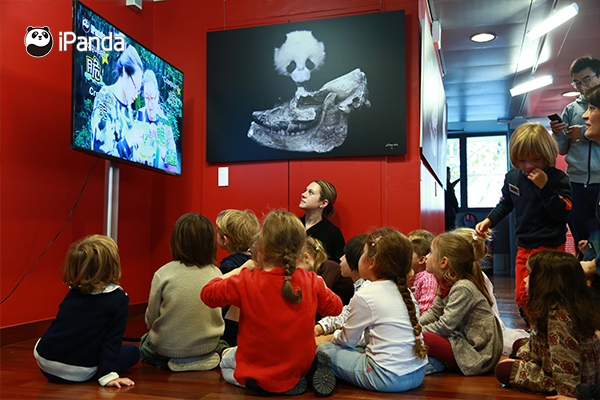 中法大熊猫文化周活动_大熊猫走向世界150周年纪念_中法文化论坛开幕