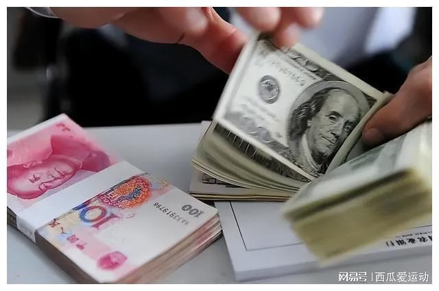 人民币汇率大幅反弹原因分析_人民币汇率与外汇储备探析_人民币汇率升值对进出口影响
